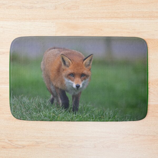 Item preview, Prowling Fox  designed and sold by ClaireChown.