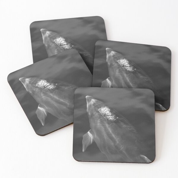 Item preview, Black and white bottlenose dolphin designed and sold by Chloé Yzoard.