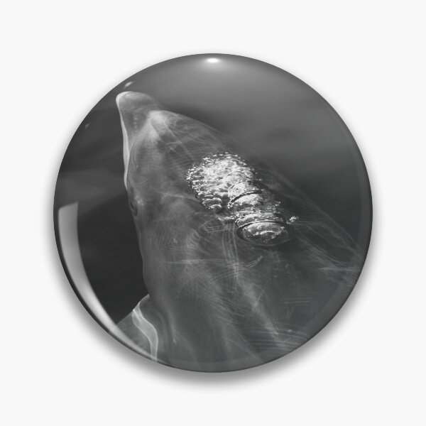 Item preview, Black and white bottlenose dolphin designed and sold by Chloé Yzoard.