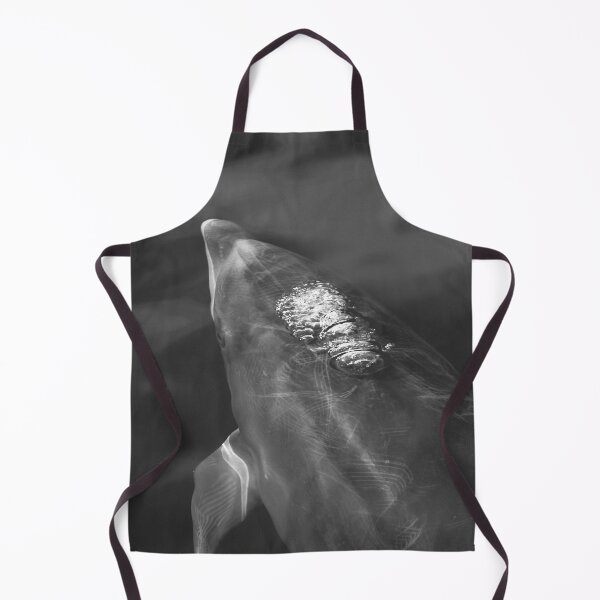 Item preview, Black and white bottlenose dolphin designed and sold by Chloé Yzoard.