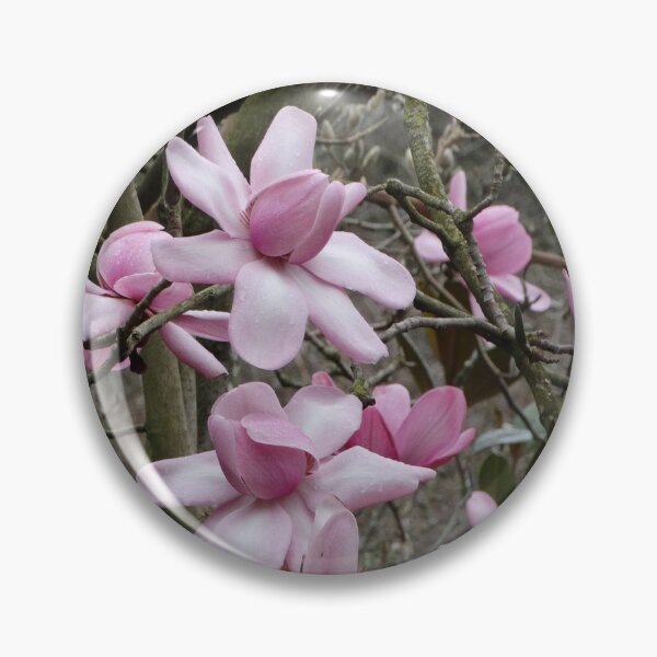 Artikelvorschau, Rosa Magnolia Grandiflora Blumen entworfen und verkauft von TwistedClassics.