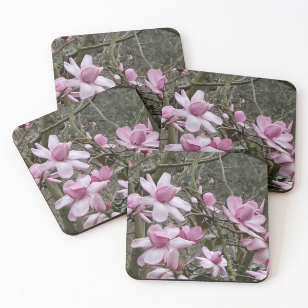 Item preview, Pink Magnolia Grandiflora flowers designed and sold by TwistedClassics.