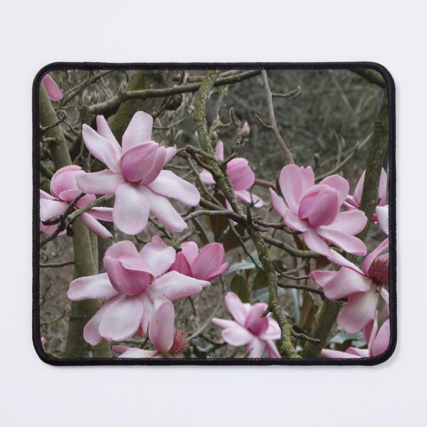 Item preview, Pink Magnolia Grandiflora flowers designed and sold by TwistedClassics.