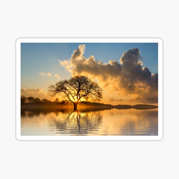 Item preview, Landscape - Sunset behind the tree designed and sold by Thavi.