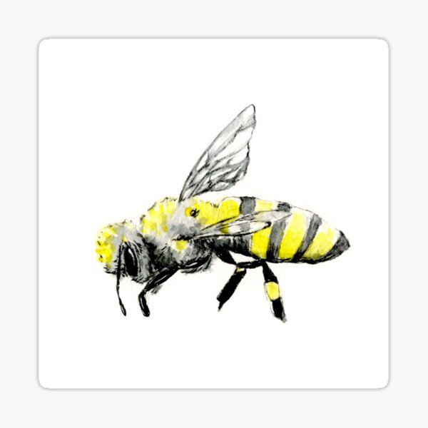 abeelha Sticker