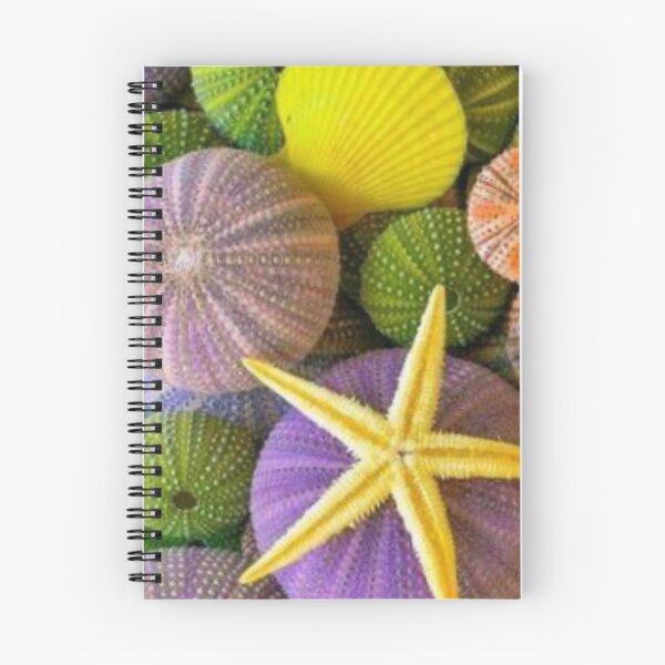 Item preview, under the sea,colorful shells designed and sold by Shopster381.