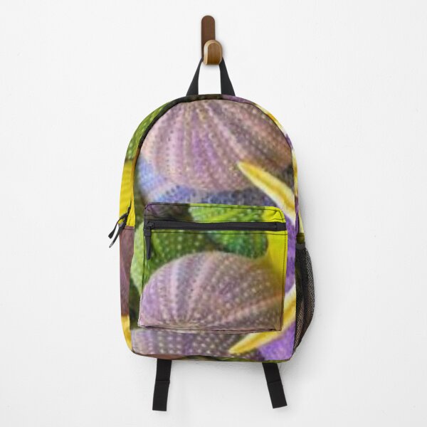 Item preview, under the sea,colorful shells designed and sold by Shopster381.