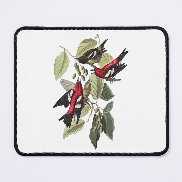 Item preview, Beautiful Birds Feeding In The Bushes On A Cool - designed and sold by TJays.