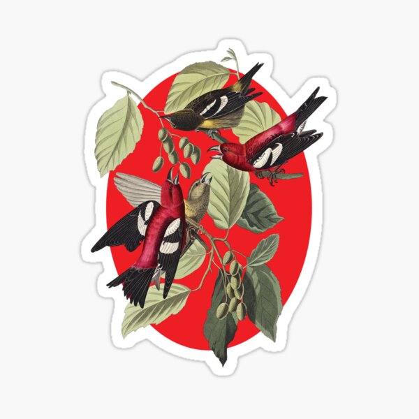 Item preview,   Beautiful Birds Feeding In The Bushes On A Cool Red - designed and sold by TJays.