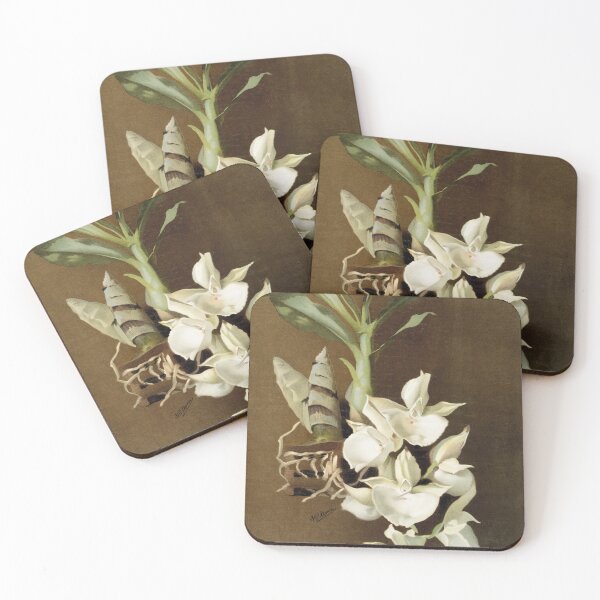 Item preview, Reichenbachia: Orchids Illustrated and Described designed and sold by EsotericBotanic.