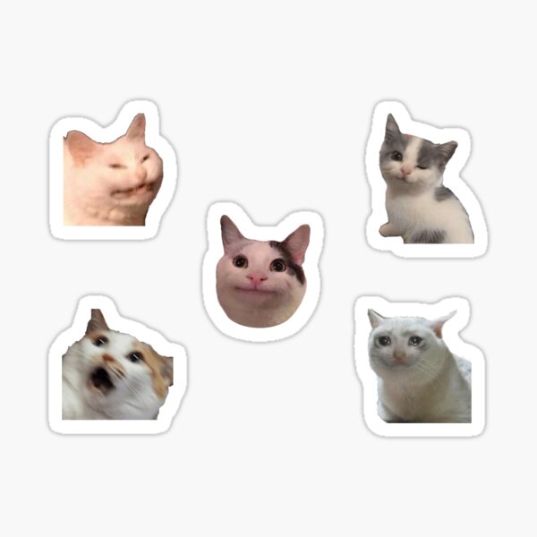 Artikel-Vorschau von Katzen-Meme-Set, designt und verkauft von maries-shopz.