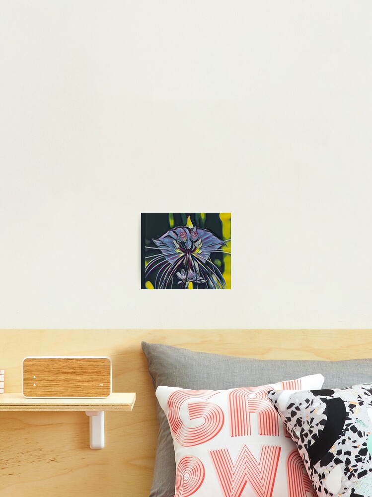 Thumbnail 2 of 3, Photographic Print, Flower Riddle designed and sold by MakingForYou.