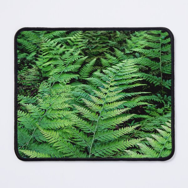 Item preview, Palapalai Patch designed and sold by Keola Makaiau.