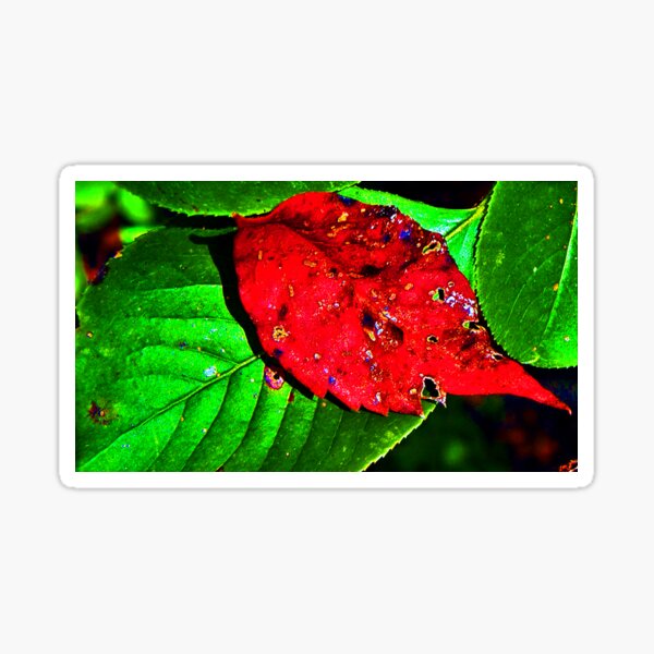 Item preview, Red Leaf designed and sold by Rupprat.