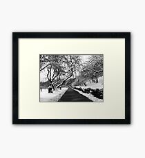 snow scene Framed Print