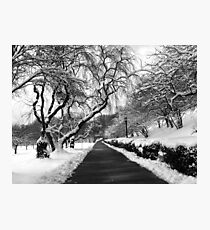 snow scene Photographic Print