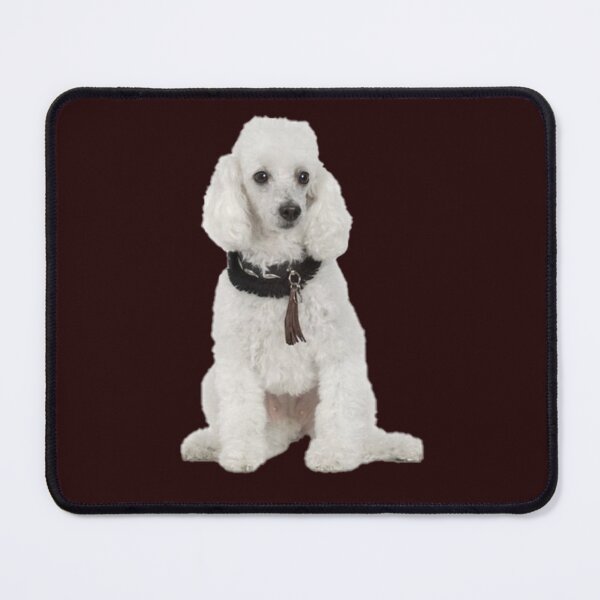Item preview, Poodle designed and sold by gameshowfan2001.