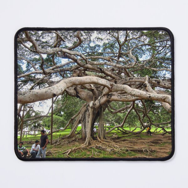 Item preview, THE UGLY TREE. SRI LANKA. designed and sold by ronsaunders47.