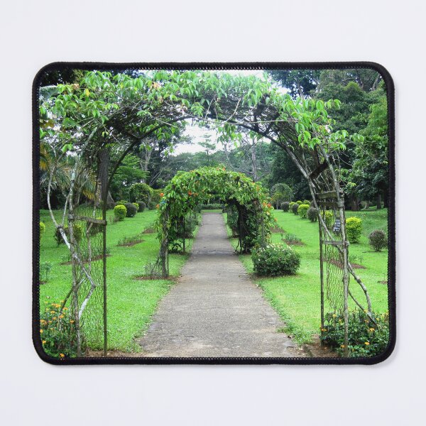 Item preview, PATH AND ARCHES designed and sold by ronsaunders47.