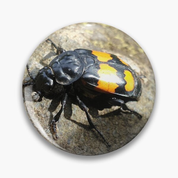 Item preview, bugs life  designed and sold by RSdesignbureau.