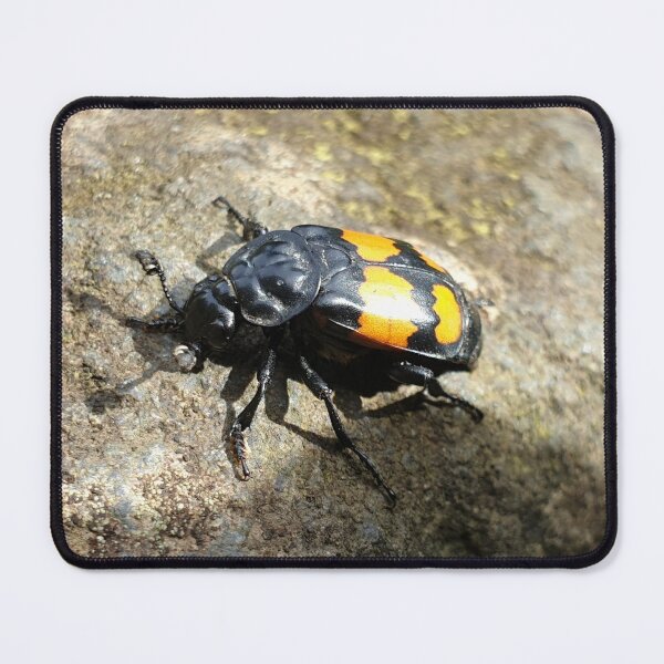Item preview, bugs life designed and sold by RSdesignbureau.