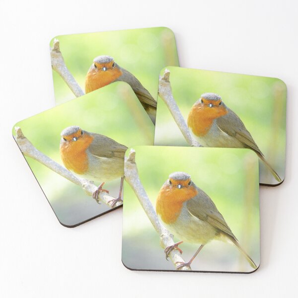 Item preview, “ Inquisitive Robin “ designed and sold by Richard Couchman.