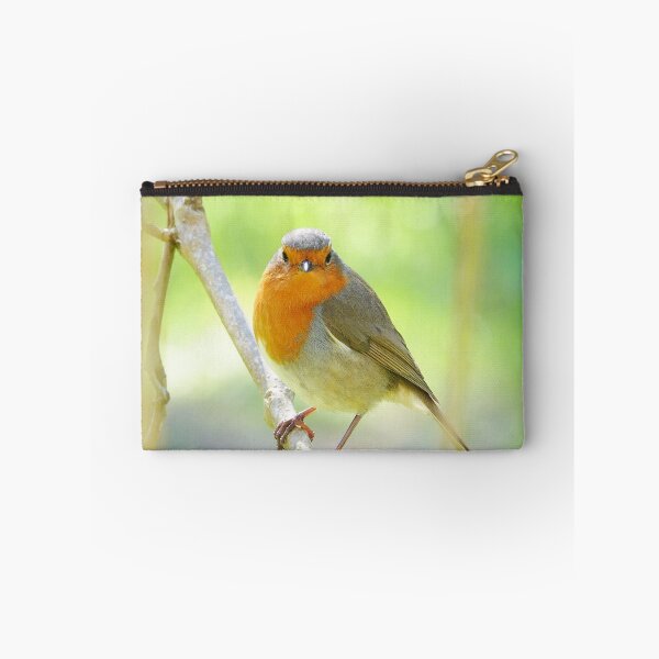 Item preview, “ Inquisitive Robin “ designed and sold by Richard Couchman.