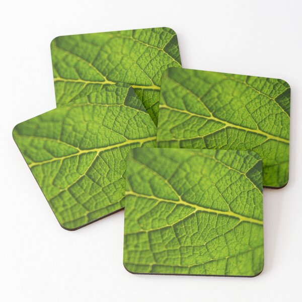 Item preview, Green Leaf Veins Macro Photograph #1 designed and sold by Happy-Trails.