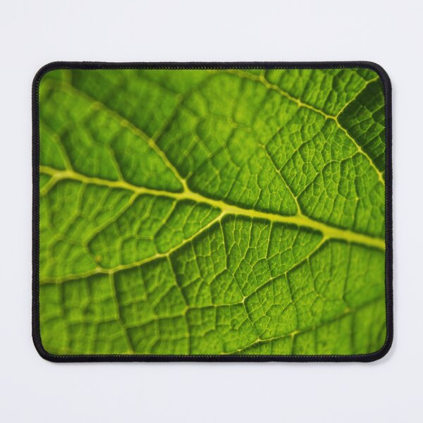 Item preview, Green Leaf Veins Macro Photograph #1 designed and sold by Happy-Trails.