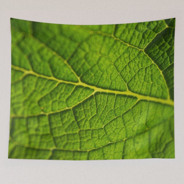 Item preview, Green Leaf Veins Macro Photograph #1 designed and sold by Happy-Trails.