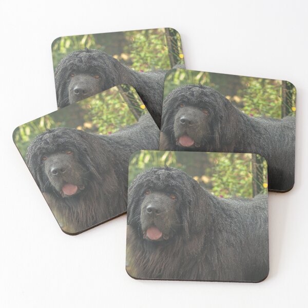 Item preview, Wet Newfoundland Dog After Rain Shower designed and sold by shane22.