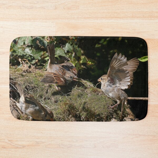 Item preview, r681/ " Les Oiseaux du jardin " fights between sparrows - bagarres entre moineaux " to Okaio Créations - Olavia-Olao designed and sold by o.okaïo.