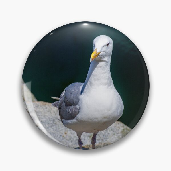 Item preview, Sea Gull on Granville Island designed and sold by Brian Shaw.