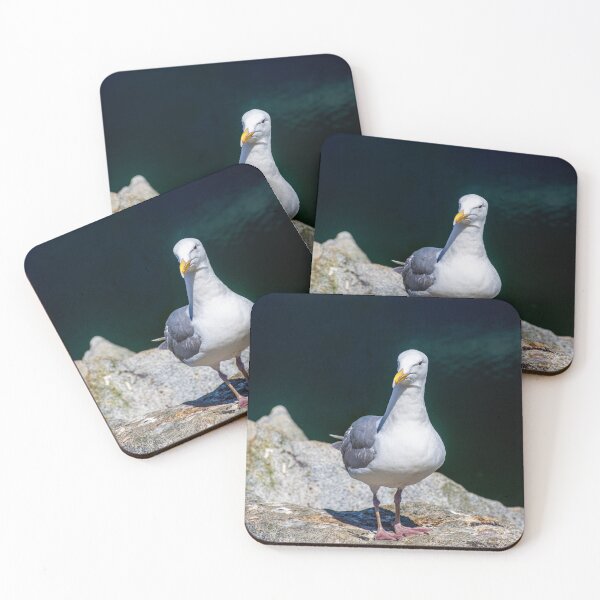 Item preview, Sea Gull on Granville Island designed and sold by Brian Shaw.