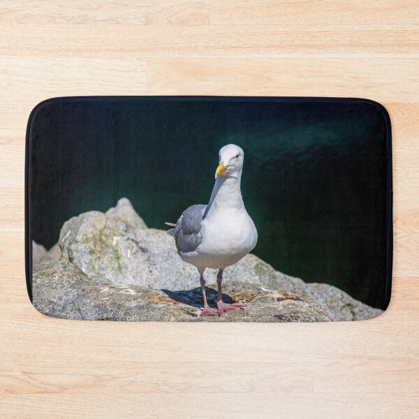 Item preview, Sea Gull on Granville Island designed and sold by Brian Shaw.