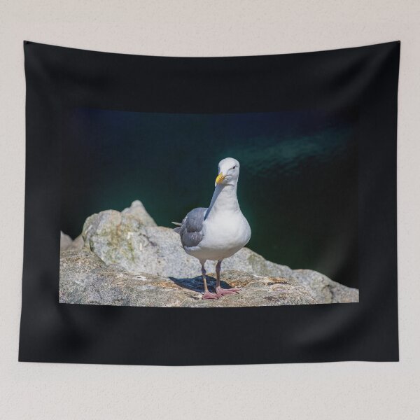 Item preview, Sea Gull on Granville Island designed and sold by Brian Shaw.