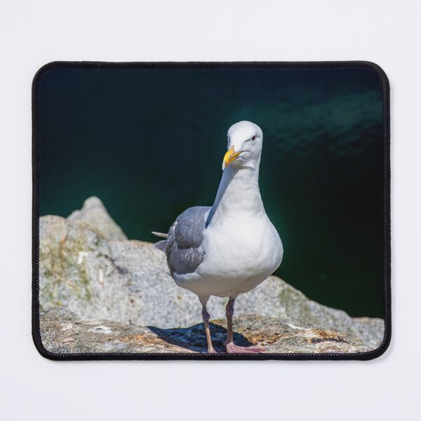 Item preview, Sea Gull on Granville Island designed and sold by Brian Shaw.