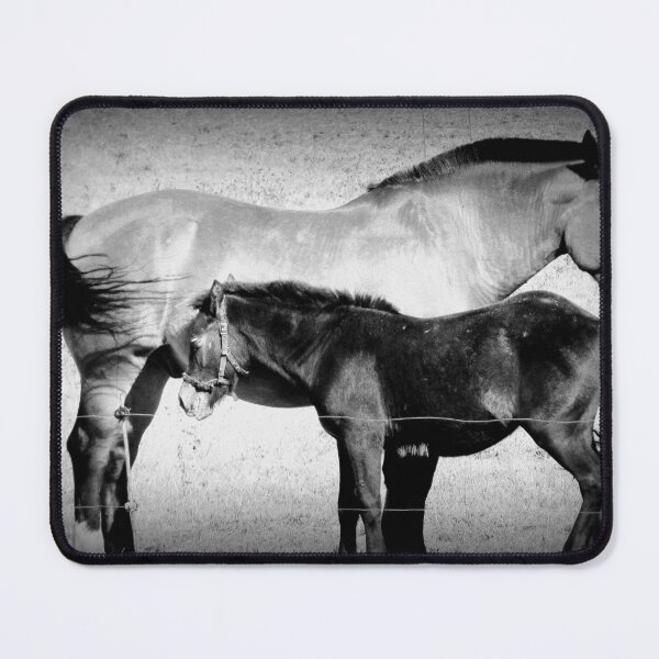 Item preview, Tenderness ... designed and sold by ART22.