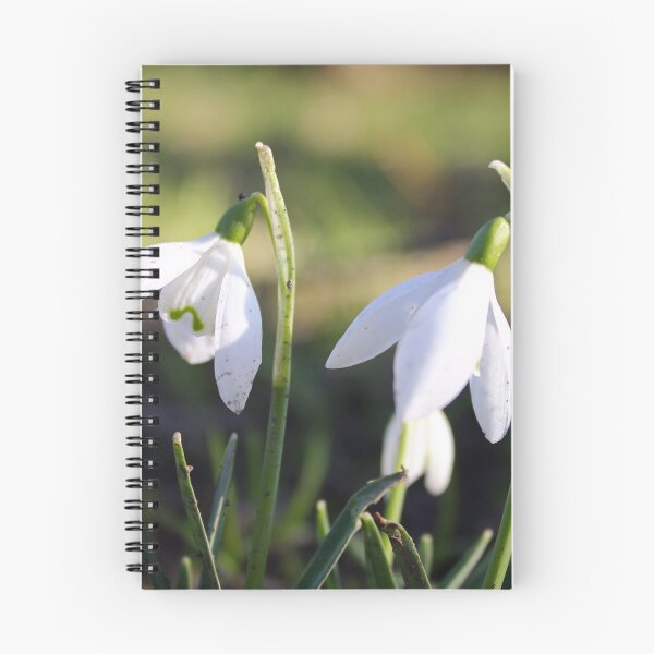 Item preview, Snowdrops designed and sold by GreyFeatherPhot.