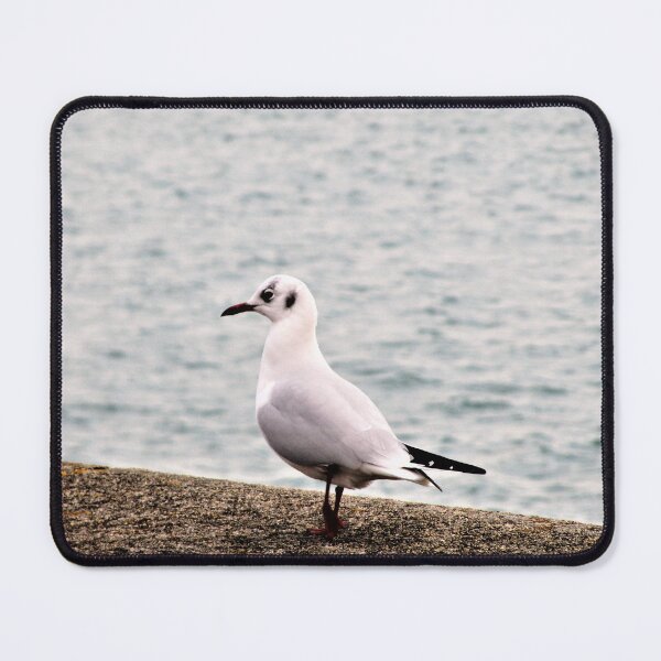 Item preview, The Seagull ... designed and sold by ART22.