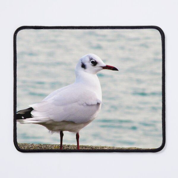Item preview, Red beak ... designed and sold by ART22.