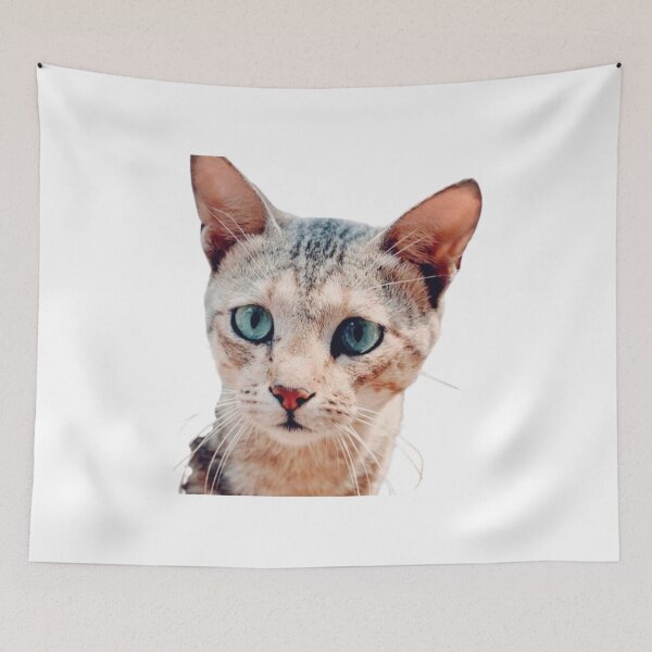 Aperçu de l'œuvre JOLI CHAT TABBY MARRON créée et vendue par giantstep.