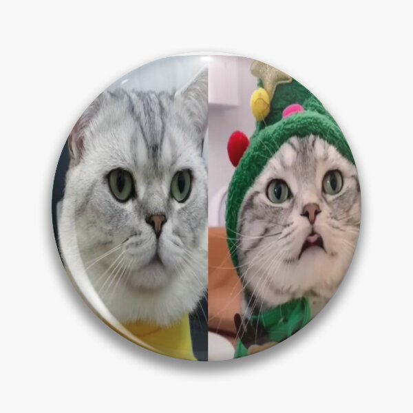 Item preview, naughty weird cats،spoiled designed and sold by Emoelsalhy76.