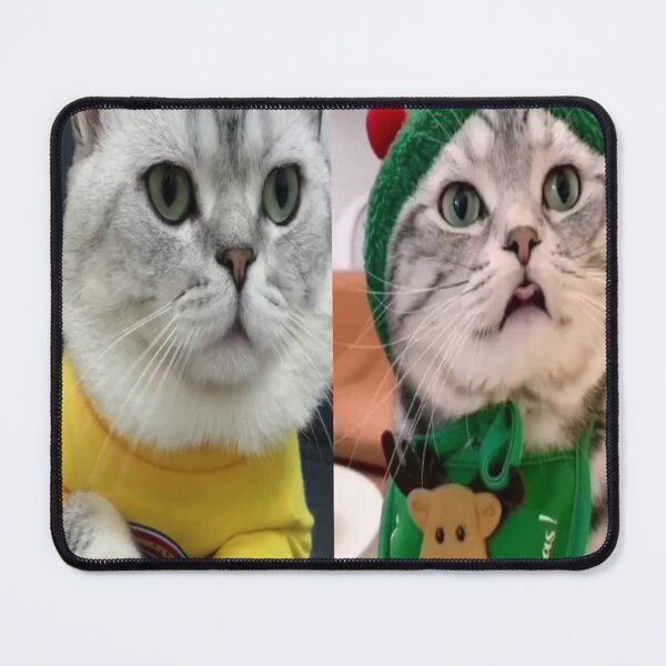 Item preview, naughty weird cats،spoiled designed and sold by Emoelsalhy76.