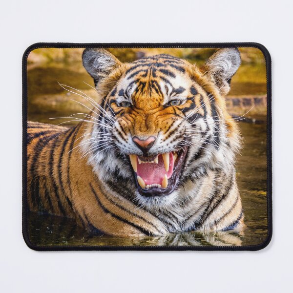 Item preview, Bengal Tigress designed and sold by Graham Prentice.