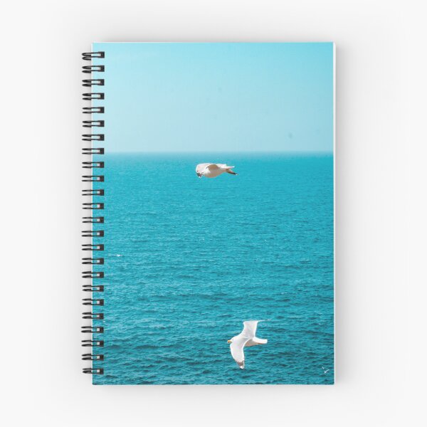 Item preview, Seagull and pigeon above a calm waves on the Ocean bleu  designed and sold by anisbbmbrush.