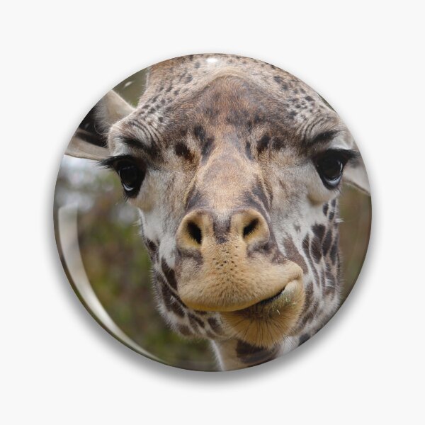 Item preview, Masai Giraffe designed and sold by nancyjcreates.