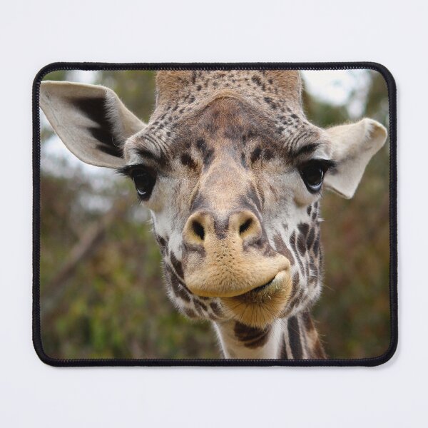 Item preview, Masai Giraffe designed and sold by nancyjcreates.