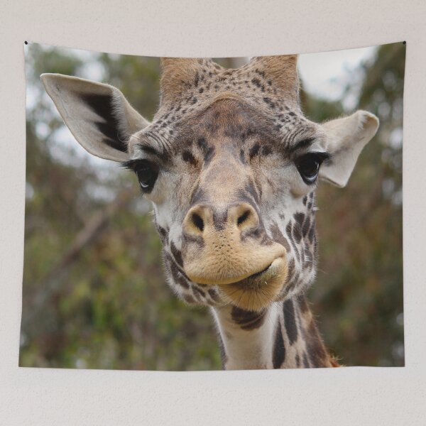 Item preview, Masai Giraffe designed and sold by nancyjcreates.