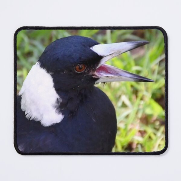 Item preview, Mouthy Magpie designed and sold by Digitaldingo.